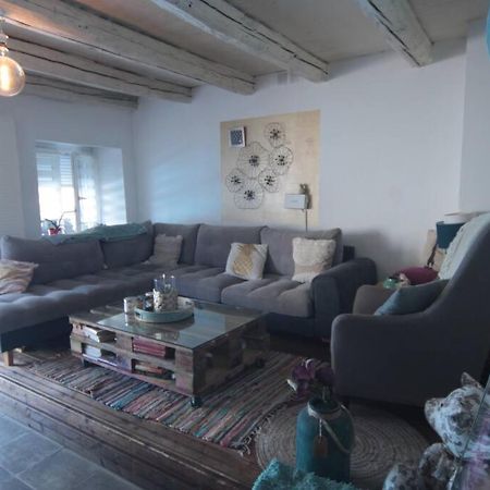 Appartement 90 M2 Vic-sur-Seille エクステリア 写真