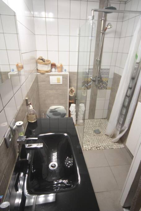 Appartement 90 M2 Vic-sur-Seille エクステリア 写真