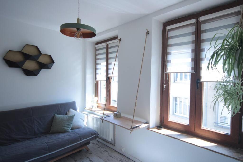 Appartement 90 M2 Vic-sur-Seille エクステリア 写真