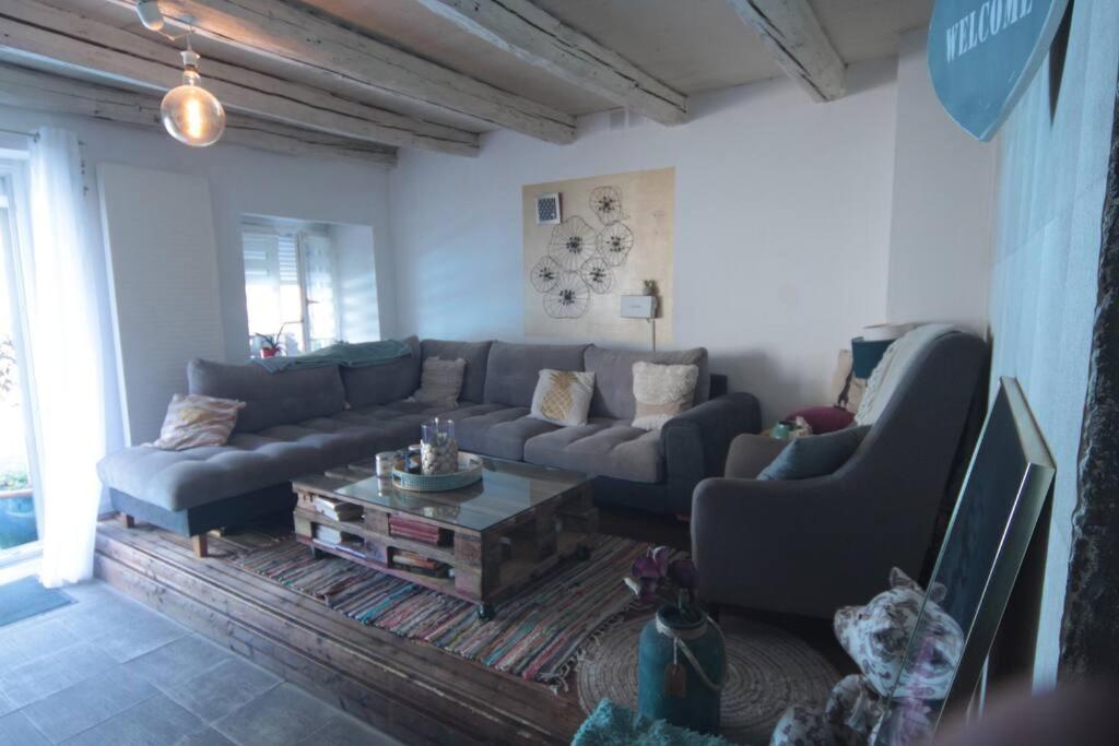 Appartement 90 M2 Vic-sur-Seille エクステリア 写真