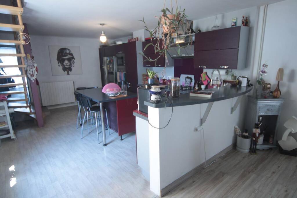 Appartement 90 M2 Vic-sur-Seille エクステリア 写真