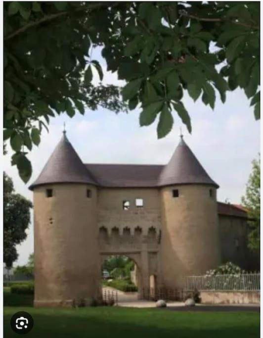Appartement 90 M2 Vic-sur-Seille エクステリア 写真