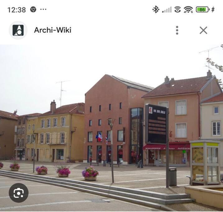 Appartement 90 M2 Vic-sur-Seille エクステリア 写真